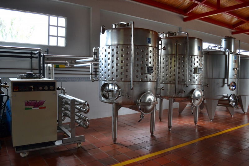 cave-CARNOULES-min_wine_production_cantine_winery_drink_alcohol_vine_beverage-902036